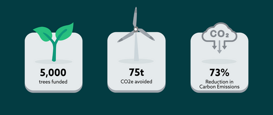 Brandfixx Proves Sustainability with Carbon Mapping Report